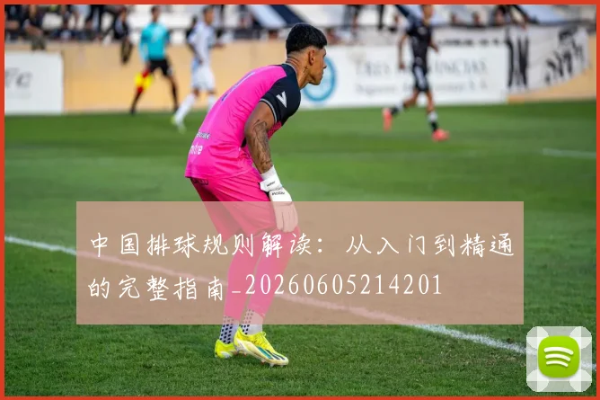 中国排球规则解读：从入门到精通的完整指南_20260605214201