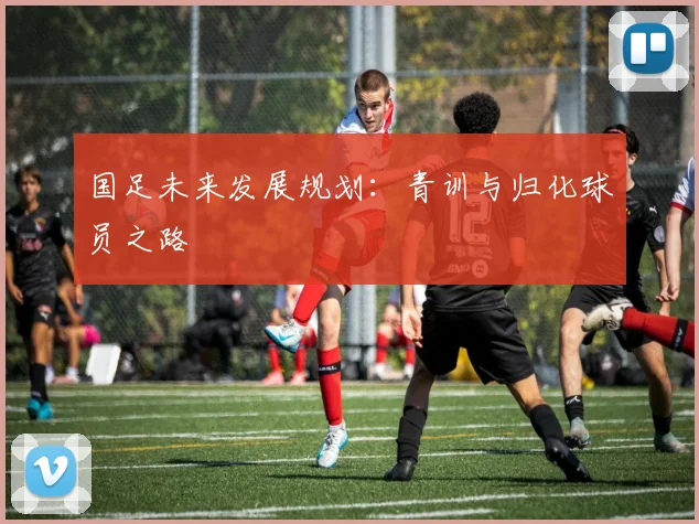 国足未来发展规划：青训与归化球员之路
